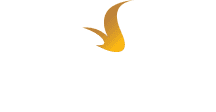 Vinhomes
