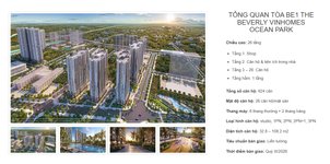 Tổng quan Be1