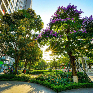 1 PN + 1, Tòa S10.07, khu The Origami - 1