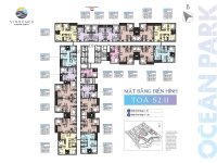 Layout mặt bằng tòa S2.11