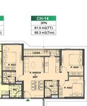 layout căn