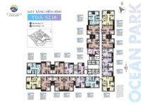 Layout mặt bằng tòa S2.18