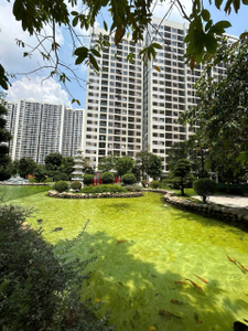 tiện ích nội khu