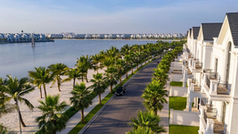 duong-hai-au-1-vinhomes-ocean-park.jpg