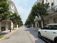 ảnh thực tế