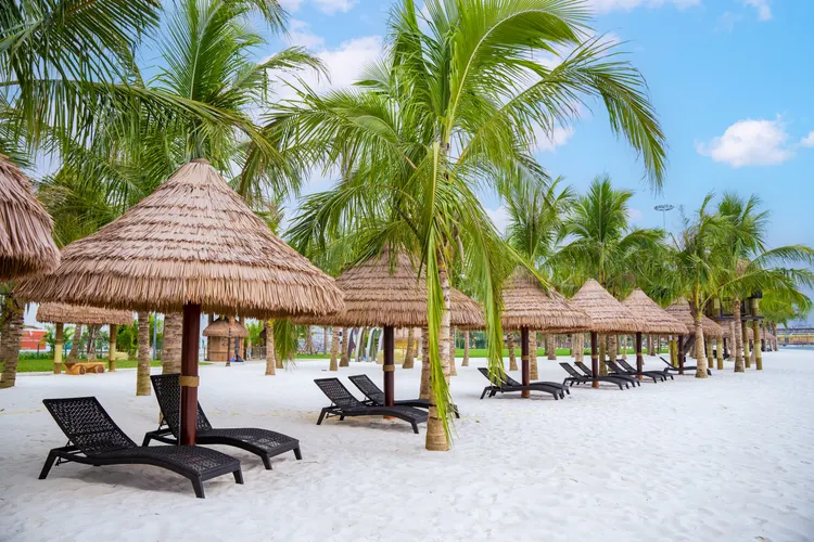 Hồ nước mặn nhiệt đới Tropical Lagoon