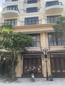 Anh thuc te lien ke Dao Dua.jpg