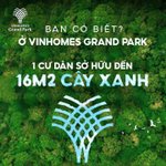view cây xanh.jpg