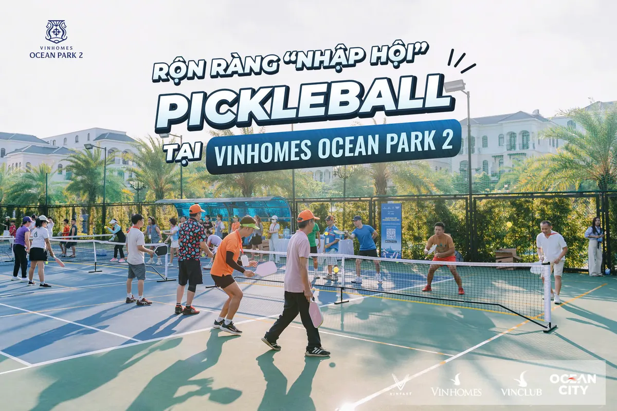 sân pickleball chà là.jpg