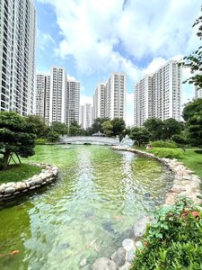 hồ cái Koi