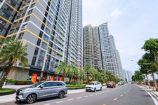 Hình ảnh thực tế