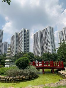 View vườn Nhật