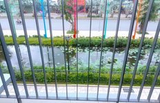 view ngoại khu