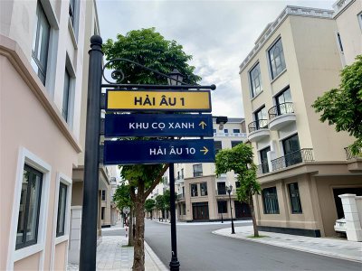 Ành nhà mẫu hải âu