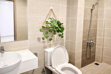 Không gian căn hộ Studio