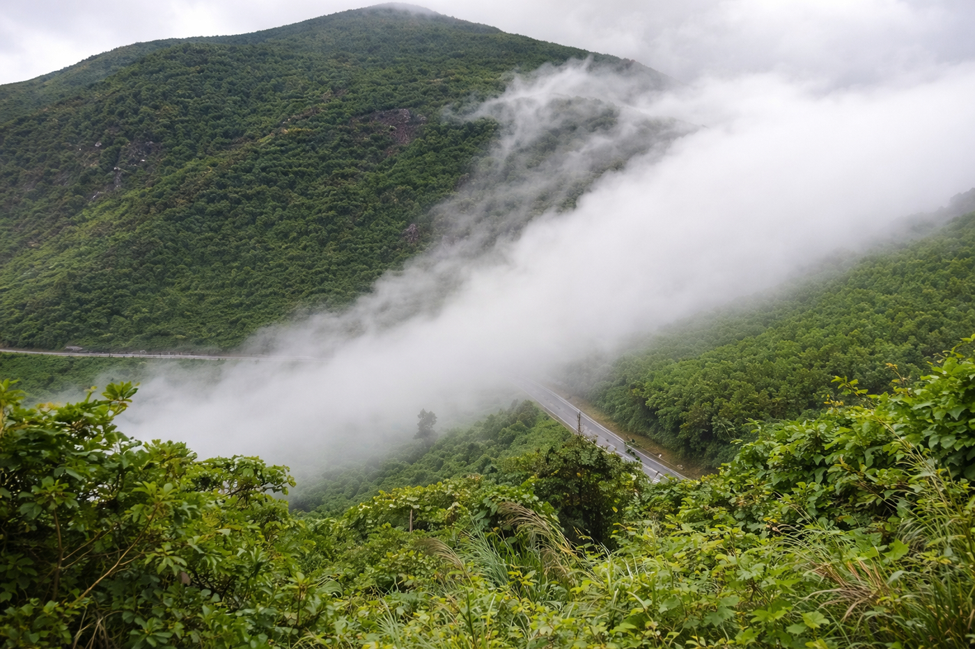 săn-mây-đèo-hải-vân.png