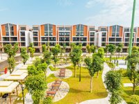 Hình ảnh thực tế phân khu