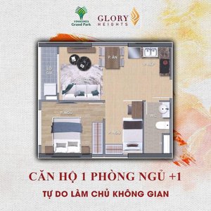 layout phòng