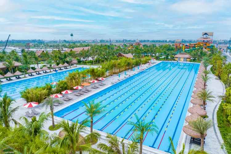 Bể bơi phong cách Olympic