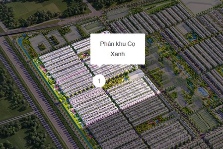 Tong the Co Xanh.png