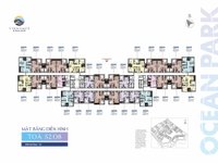 Layout mặt bằng tòa S2.08