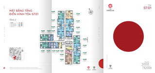 toa-s701-tang 2.jpeg