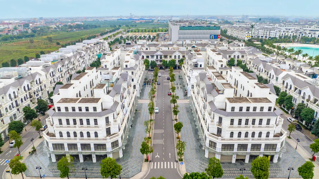 Sao Biển