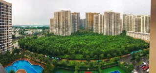 view