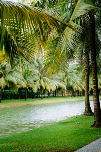 tiện ích nội khu