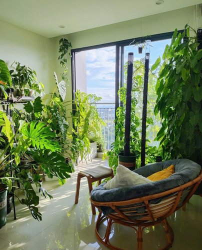 2 PN (1 Toilet), Tòa S1.02, khu The Rainbow, Vinhomes Grand Park