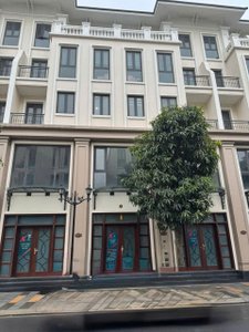 Ảnh tổng thể căn