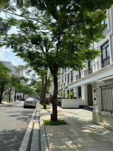 view ngoại khu.jpg