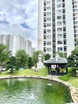 Cảnh quan nội khu 