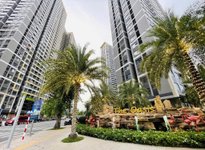 The Oasis