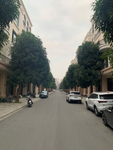 Ảnh thực tế