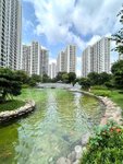 tiện ích: hồ cái Koi