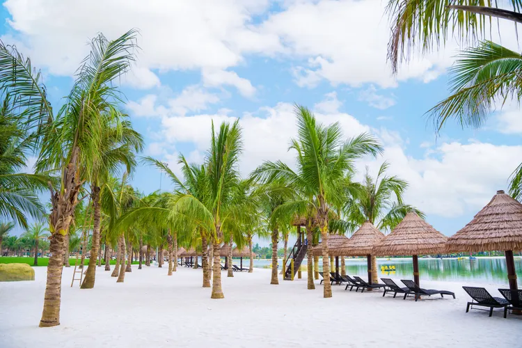 Hồ nước mặn nhiệt đới Tropical Lagoon