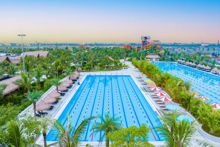 Bể bơi phong cách Olympic