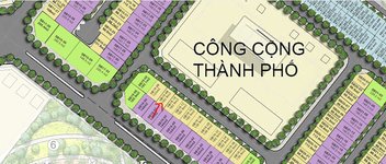 Vị trí căn
