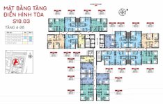 Mặt bằng tòa S10.03