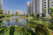 Tiện ích hồ cá koi