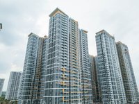 Hình ảnh thực tế