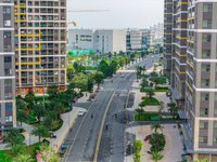 Hình ảnh thực tế
